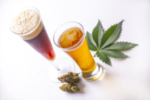Detail of cold glasses of beer with cannabis leaf and nugs isolated over white. 10 ways cannabis is safer than alcohol concept.