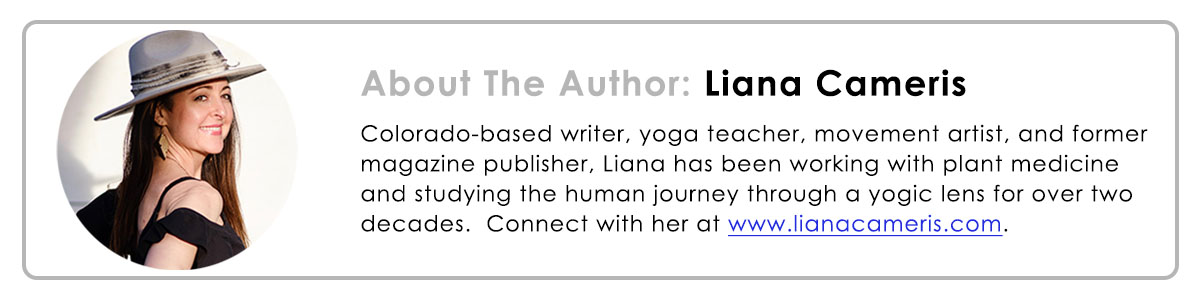 Liana Cameris author bio, describing her background in cannabis and yoga.